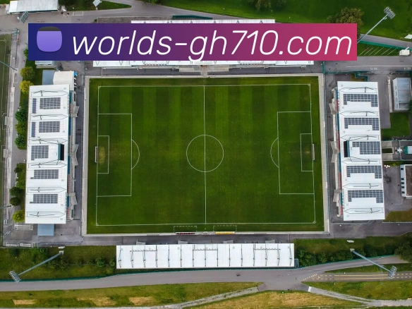 公海710官网平台生态图