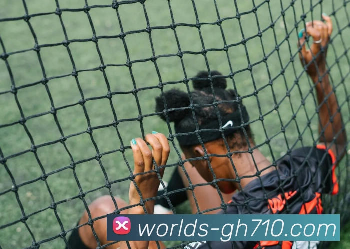 公海710官网APP 封面图